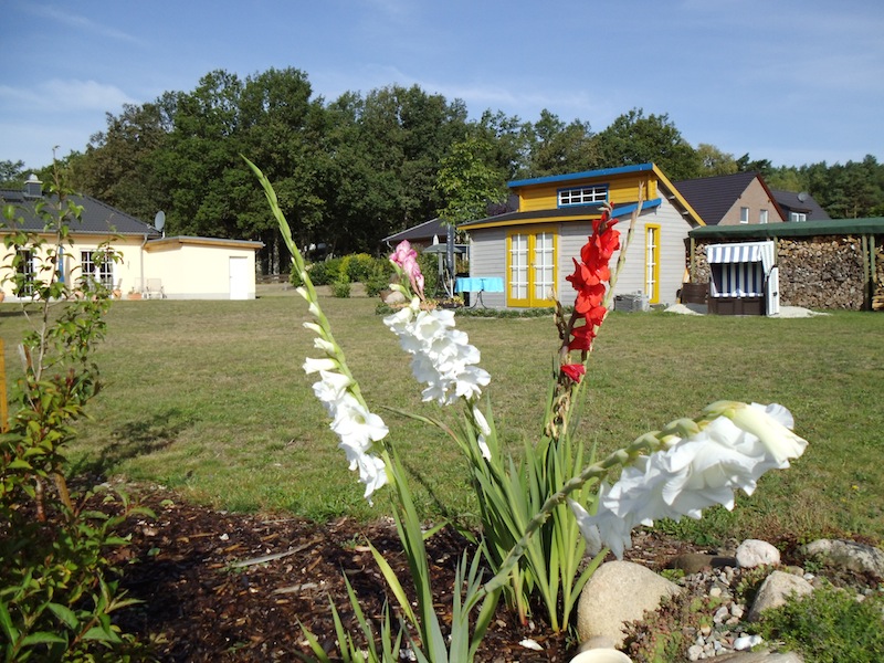 PICT0306.JPG