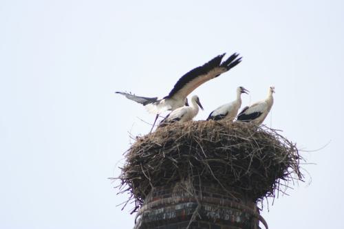 Die Umgebung